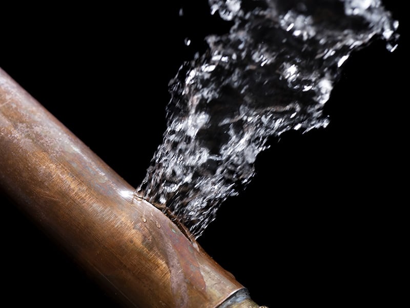 shutterstock_212307358-800x600